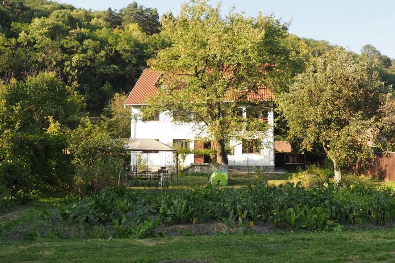 Casa Bucataria Fonix Hotel Praid Exterior photo